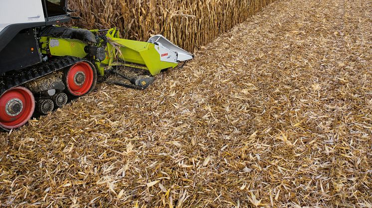 First corn picker with integrated stubble cracker: CLAAS presents CORIO STUBBLE CRACKER