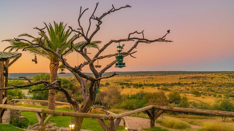 Discover Airlines Windhoek