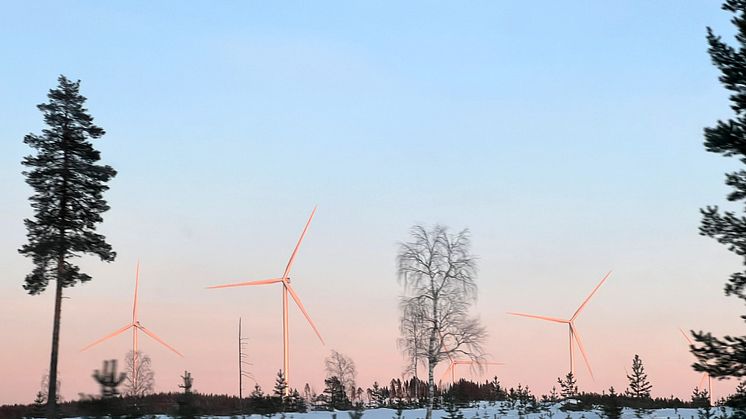 Vindkraftverk i Markbygdens vindkraftpark.      Foto: Piteå kommun