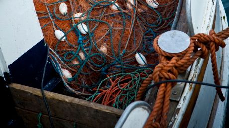 2013 års fiskekvoter för Östersjön nu klara