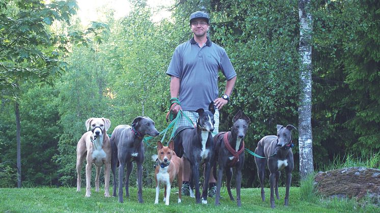 Joni Tuhkasen perheessä on yhteensä kuusi koiraa, joista kaksi greyhoundia kilpailee. – Koirien kanssa kisaaminen on minulle ja avovaimolleni elämäntapa.