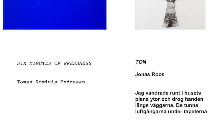 Examensutställningar: Tomas Kominis Endresen och Jonas Roos