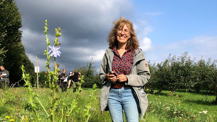 Lene Sigsgaard, tf professor på universitet i Köpenhamn är en av de som ligger bakom projektet Beespoke. Foto: Anna Lind Lewin.