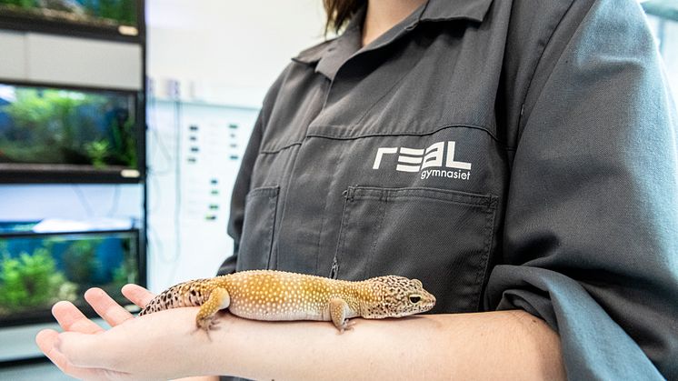 Ytterligare tillskott till digitala kurser - Zoohandelsutbildning Reptiler