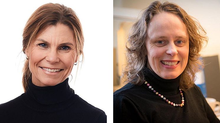 Malin Stensson och Maria Björk, Hälsohögskolan Jönköping