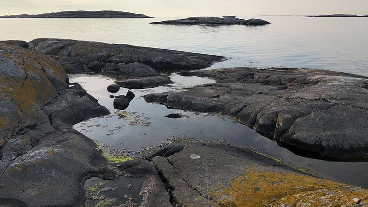 Våra hav utsätts ständigt för påverkan genom övergödning, nedskräpning och försurning. Foto: Pernilla Johansson/HaV