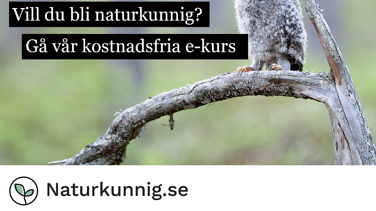 Naturkunnig.se