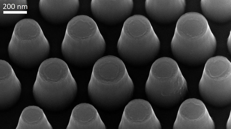 Mikroskopibild av de skorstensformade nanopelarna. Shula Chen, Creative Commons Attribution 4.0 International License http://creativecommons.org/licenses/by/4.0/