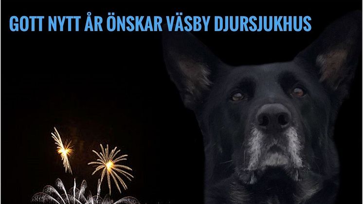 Gott nytt år önskar Väsby Djursjukhus