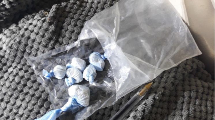 Meadows Raid Drug Bust- Drugs