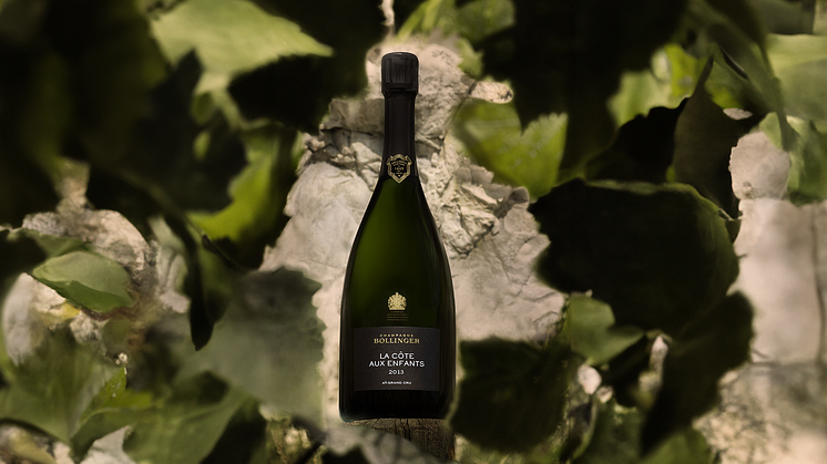 Bollinger La Côte aux Enfants Champagne – från vingården vars historia fortfarande skrivs!