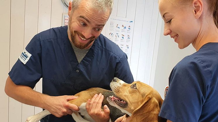 Sørlandet får sitt første dyresykehus i februar 2021. Her veterinær Kuba Letek og dyrepleier Kristine Hansen.