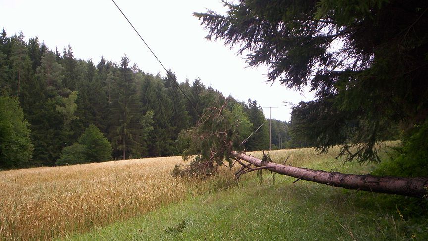 Sturmtief führt zu Stromausfällen im Bayernwerk-Netz