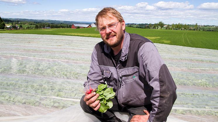 – Vi får større avlinger med bedre kvalitet, sier Einar Dyste på Lundstad grønt AS.