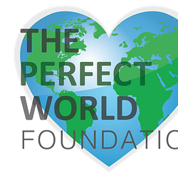 The Perfect World Foundation