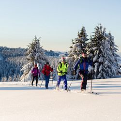 Wintersport im Erzgebirge