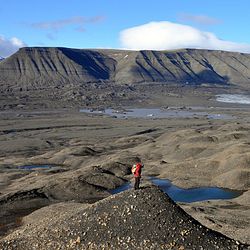 Fossil-bearing rocks on Spitsbergen 