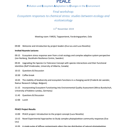 PEACE workshop program