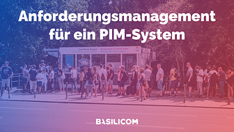 Anforderungsmanagement für ein PIM-System (1).png