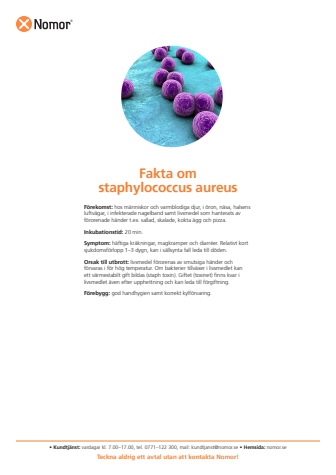 Fakta om staphylococcus aureus