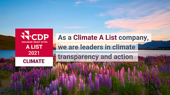 CDP A List 21 - Climate 1.png