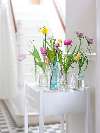 Tulpaner i många vaser