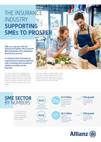 Supporting SMEs to Prosper