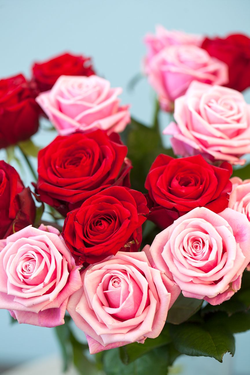 Bukett med rosa och röda rosor