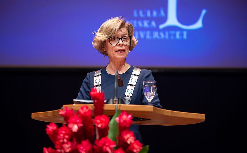 Birgitta Bergvall-Kåreborn, akademisk högtid 2019