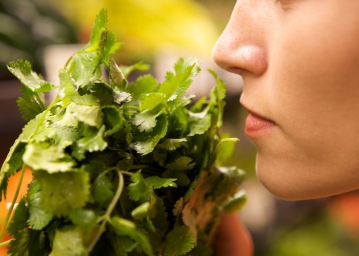 Global study: How does COVID-19 impact sense of smell and taste?