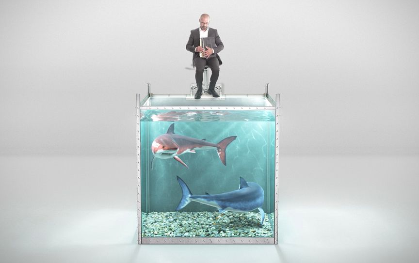 Can you save your CFO from the software licensing sharks?