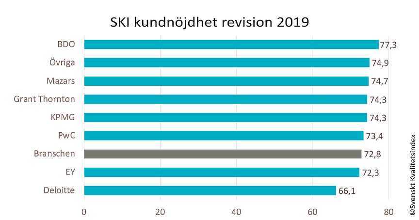 SKI revision per bolag 2019