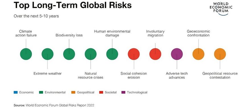 Top_Long_Term_Global_Risks.jpg