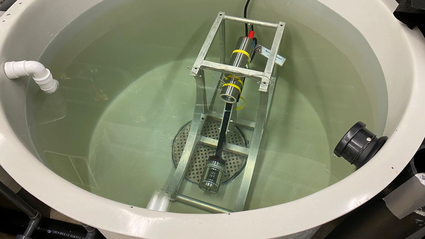 Oppsett med undervanns-sensor i test-tank med lakselus (Foto: Ragnhild Pettersen /Akvaplan-niva).
