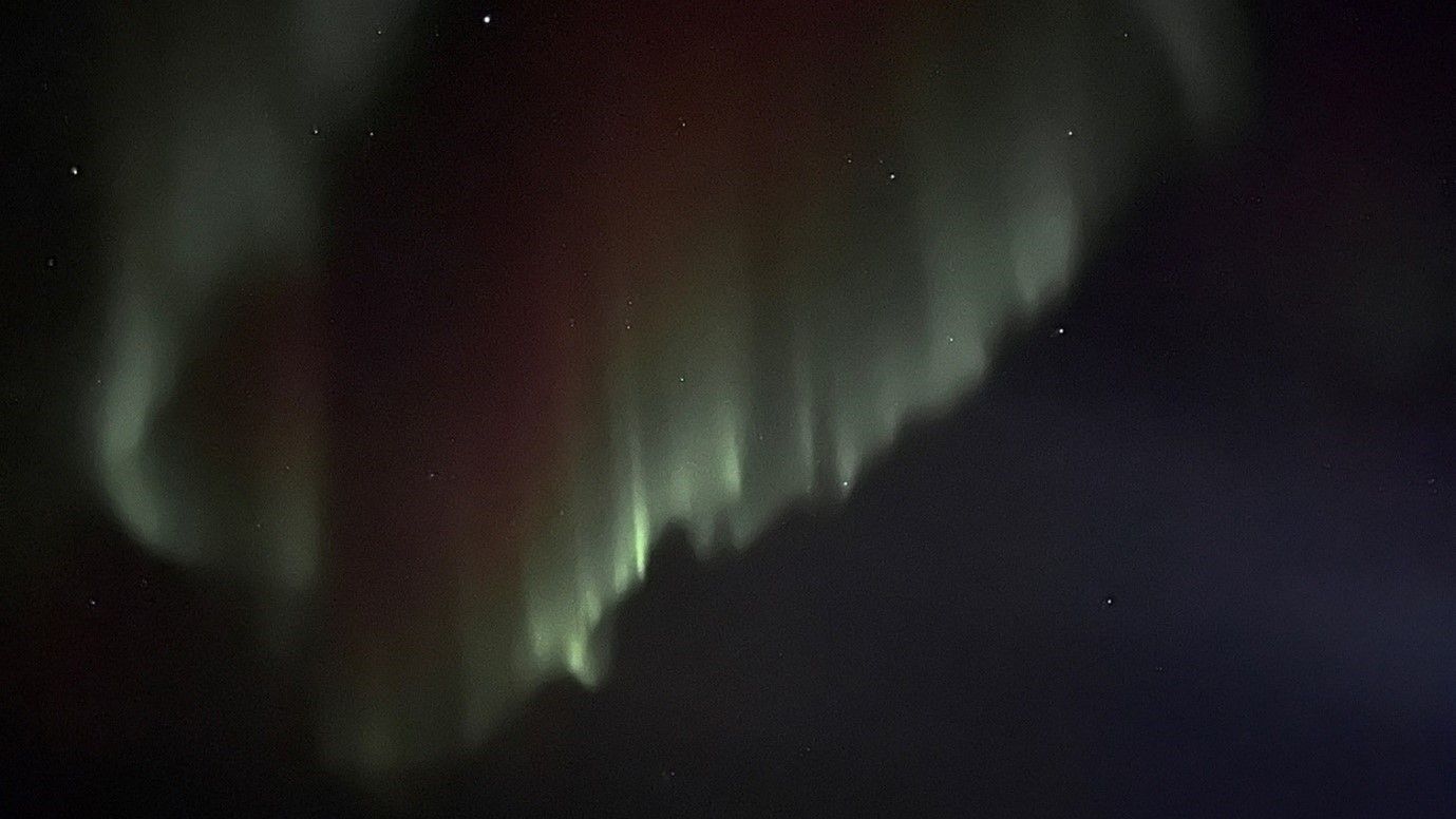 Northern lights shine over the sea ice in the Barents Sea. Photo: Malin Daase