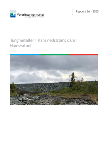 Rapport Veterinærinstituttet 2020_Tungmetaller i slam nedstrøms dam i Namsvatnet.pdf