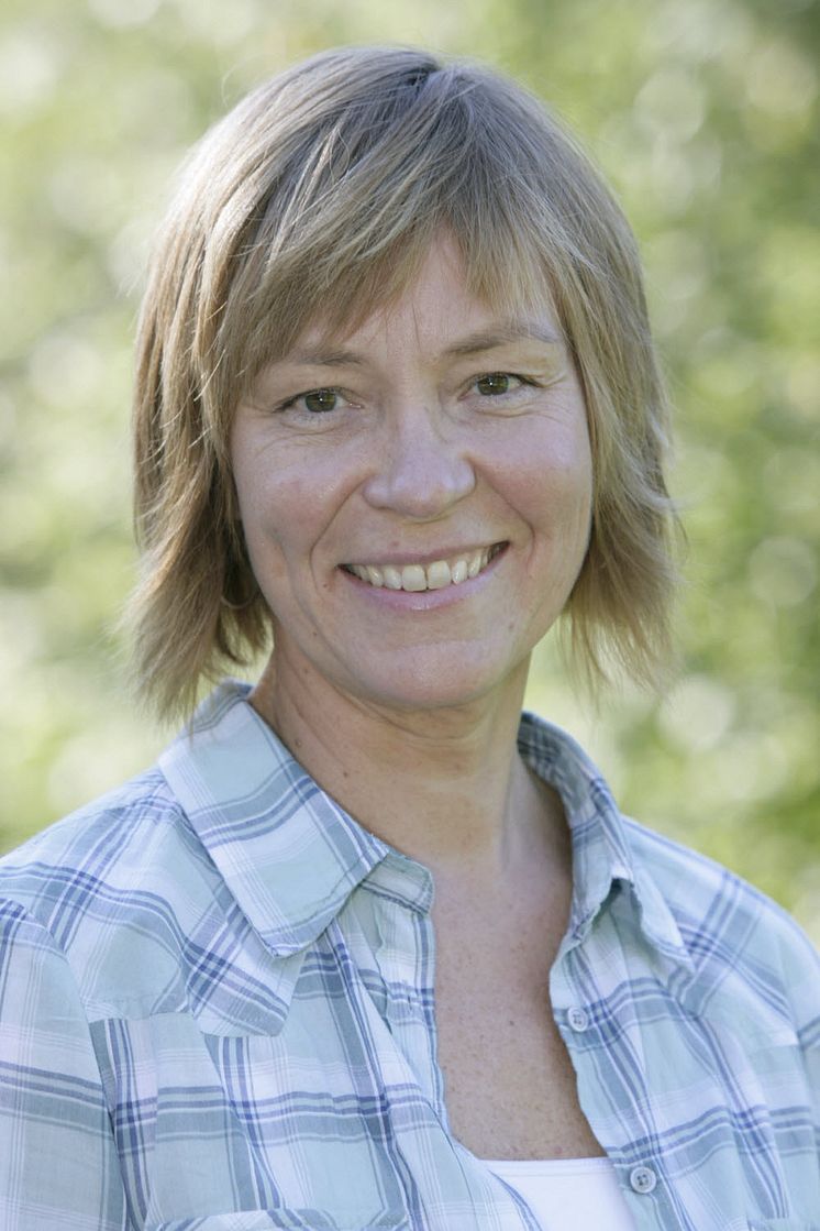 Helena Dahlberg, Produktchef AMA och BSAB