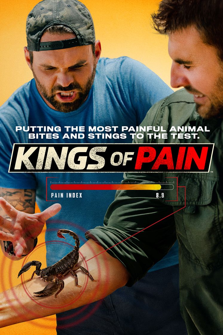 Kings of Pain_HISTORY