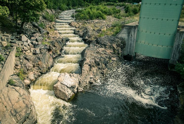 HaV om förslag till ny lagstiftning: Positivt att vattenkraften ska få moderna tillstånd