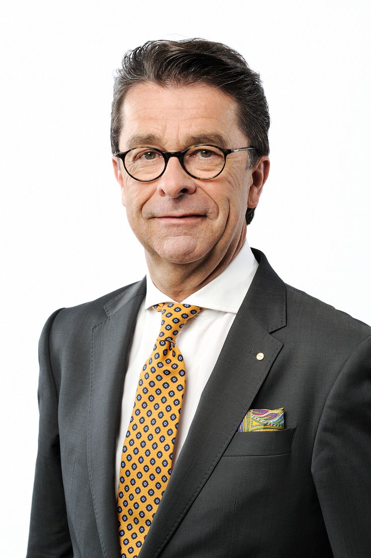 Michael Johnigk, Vorstandsmitglied