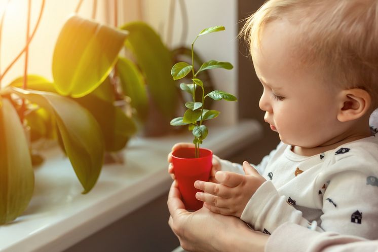 Lapsi ja kasvi.jpg