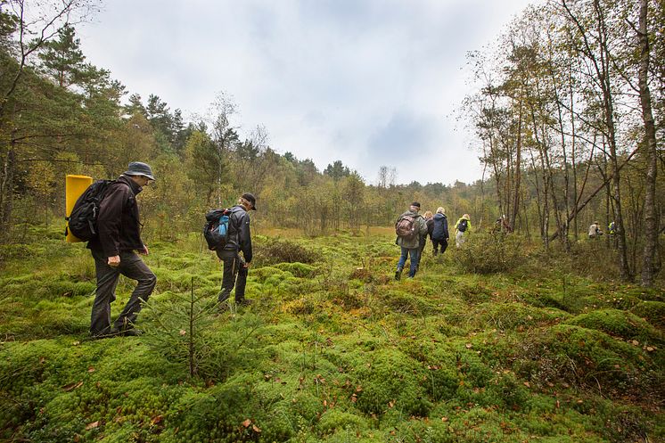 Hovdala och Mölleröd naturområde bjuder på varierande vandringsupplevelser 