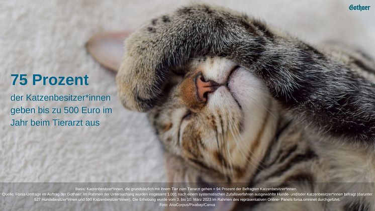 Gothaer Studie: 75 Prozent der Katzenbesitzer*innen geben bis zu 500 Euro im Jahr beim Tierarzt aus