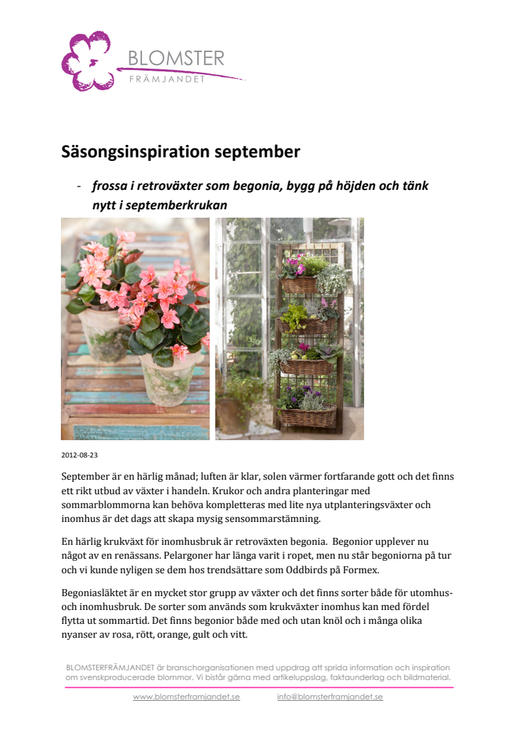 Säsongsinspiration september - frossa i retroväxter som begonia, bygg på höjden och tänk nytt i septemberkrukan