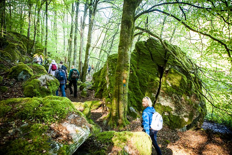 Nya vandringsleder i varierad natur på Sveriges största vandringsfestival