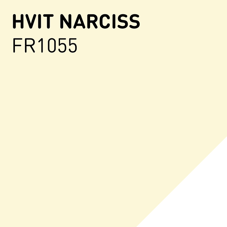 FR1055 HVIT NARCISS