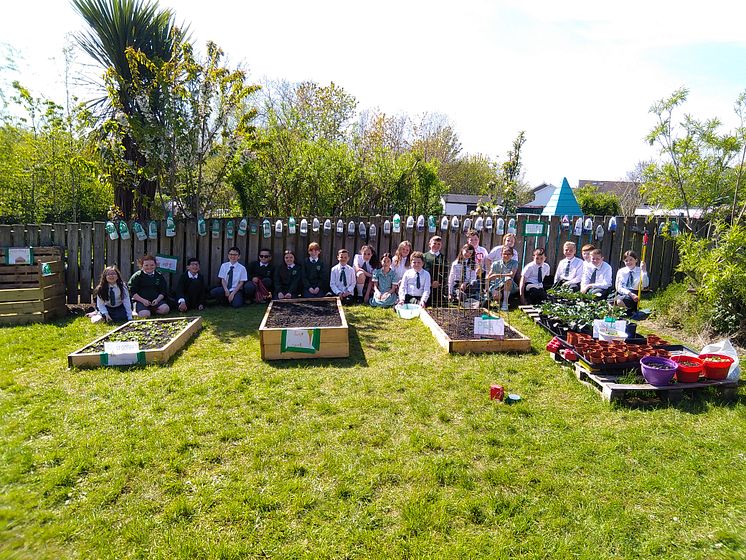 Growing Club Oakfield PS recycled milk bottle planters