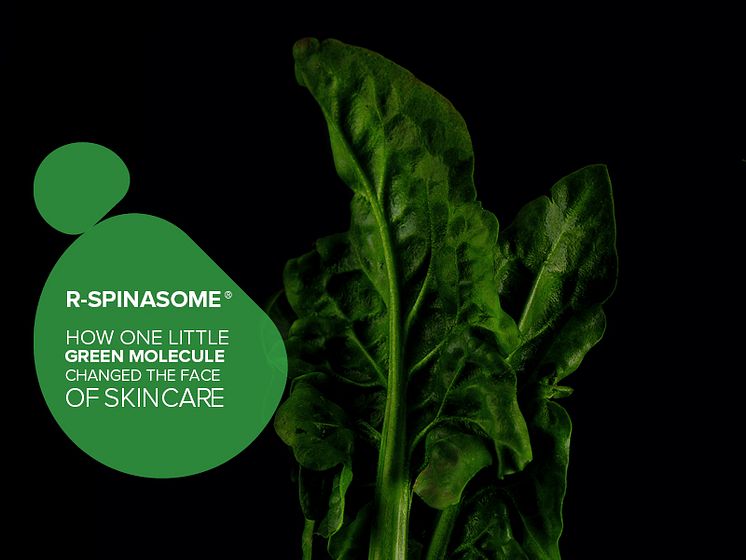 R-Spinasome®  Grean Leaf
