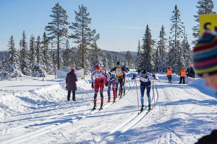 Trysil Skimaraton - turrenn med kvalitetsstempel