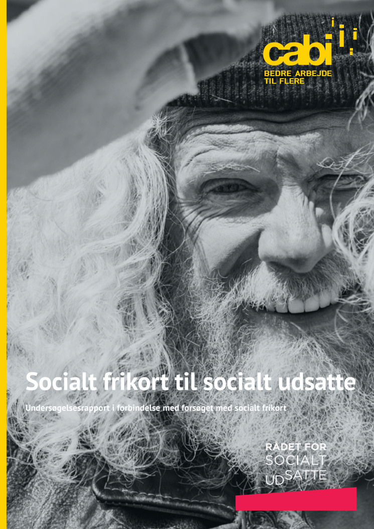 Rapport: Socialt frikort til socialt udsatte